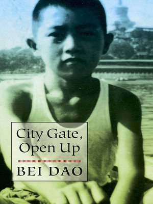 cover image of City Gate, Open Up